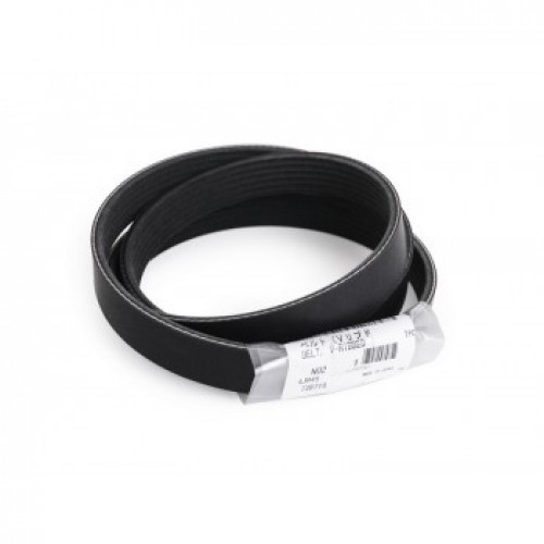 Alternator Belt - RDG5790