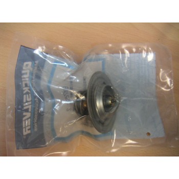  8M0109441 Thermostat